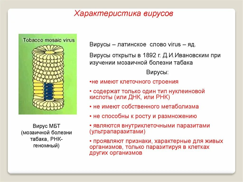 Текст viruses. Вирус с латинского. Вирус слово. Вирусы латынь. Строение вируса мозаичной болезни.