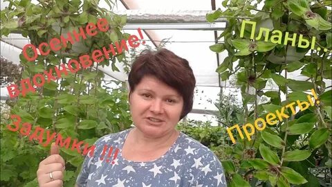 Вегетка нн