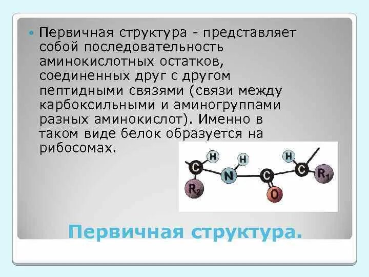 Функции первичной структуры
