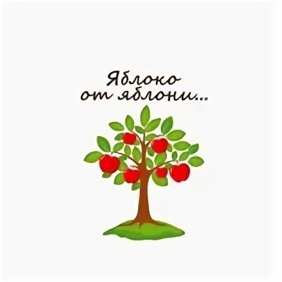 Яблоня от яблони далеко не падает. Яблочко от яблони. яблочко от яблоньки. яблоко от яблони далеко не падает. яблоко от яблони цитаты.