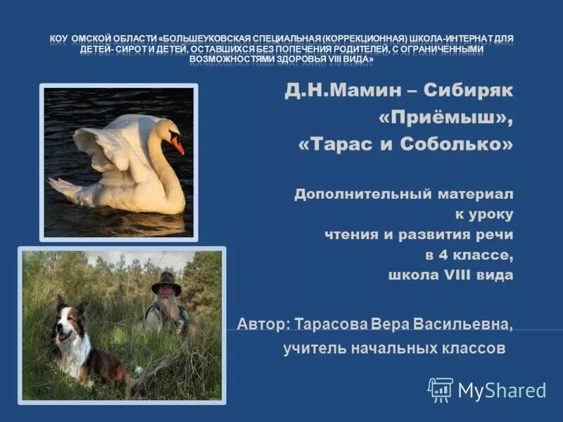 Мамин сибиряк приемыш 2 урок. План приёмыш 4 класс мамин сибиряк. приёмыш мамин сибиряк план. произведение приемыш мамин сибиряк. приёмыш и соболько&quot; (мамин-сибиряк).
