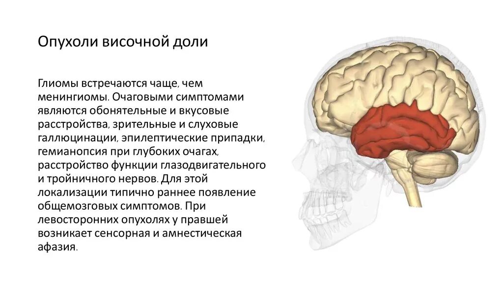 Теменная область поражения