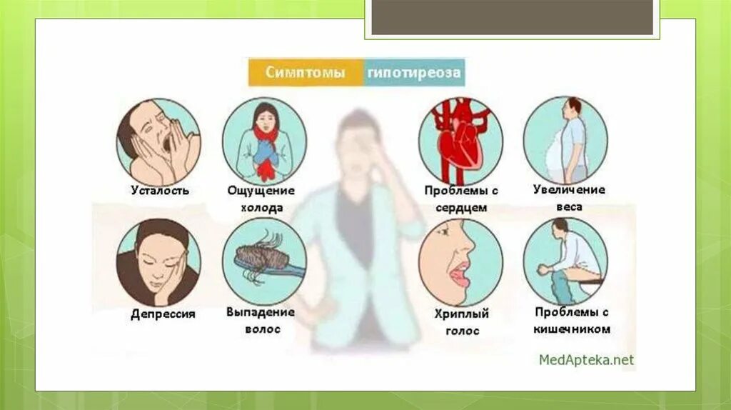 Щитовидная железа лечение у мужчин и профилактика. Гипотиреоз щитовидной железы симптомы. Щитовидная железа симптомы заболевания гипотиреоз. Сниженная функция щитовидной железы симптомы. Гипотиреоз характеризуется следующими признаками.