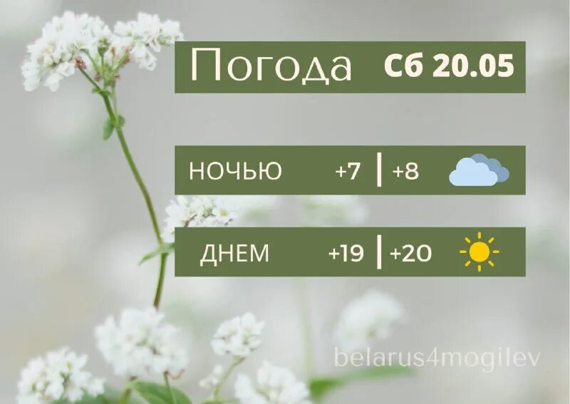 Программа беларусь 4 могилев. Программа беларусь 4 могилев. Беларусь 1 могилев. Беларусь 4 витебск. Беларусь 1 могилев.
