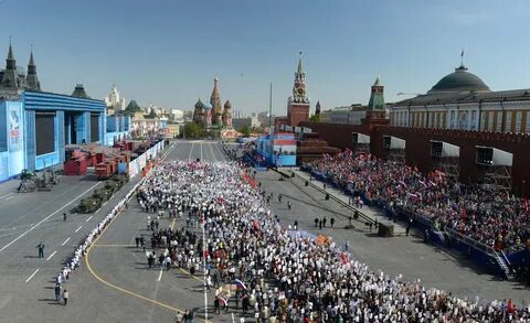 Участник площадь