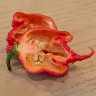 Carolina pepper
