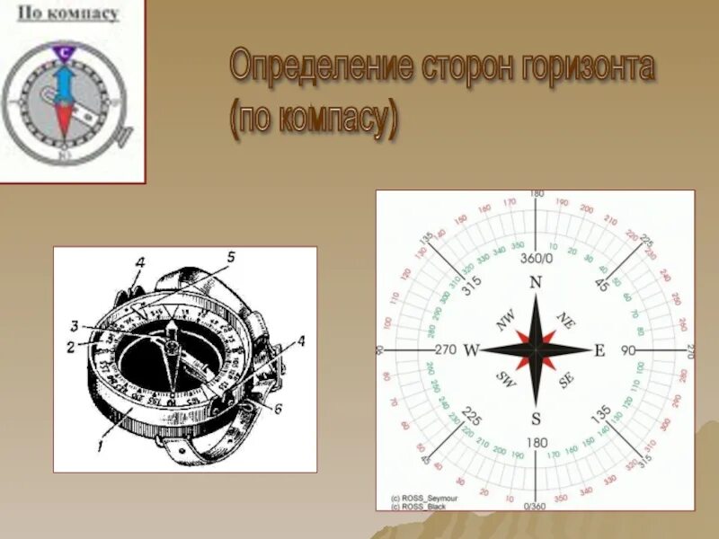 Определение горизонта по компасу. Определение сторон горизонта по компасу. Компас стороны горизонта. Определи стороны горизонта по компасу. Горизонты стороны света.