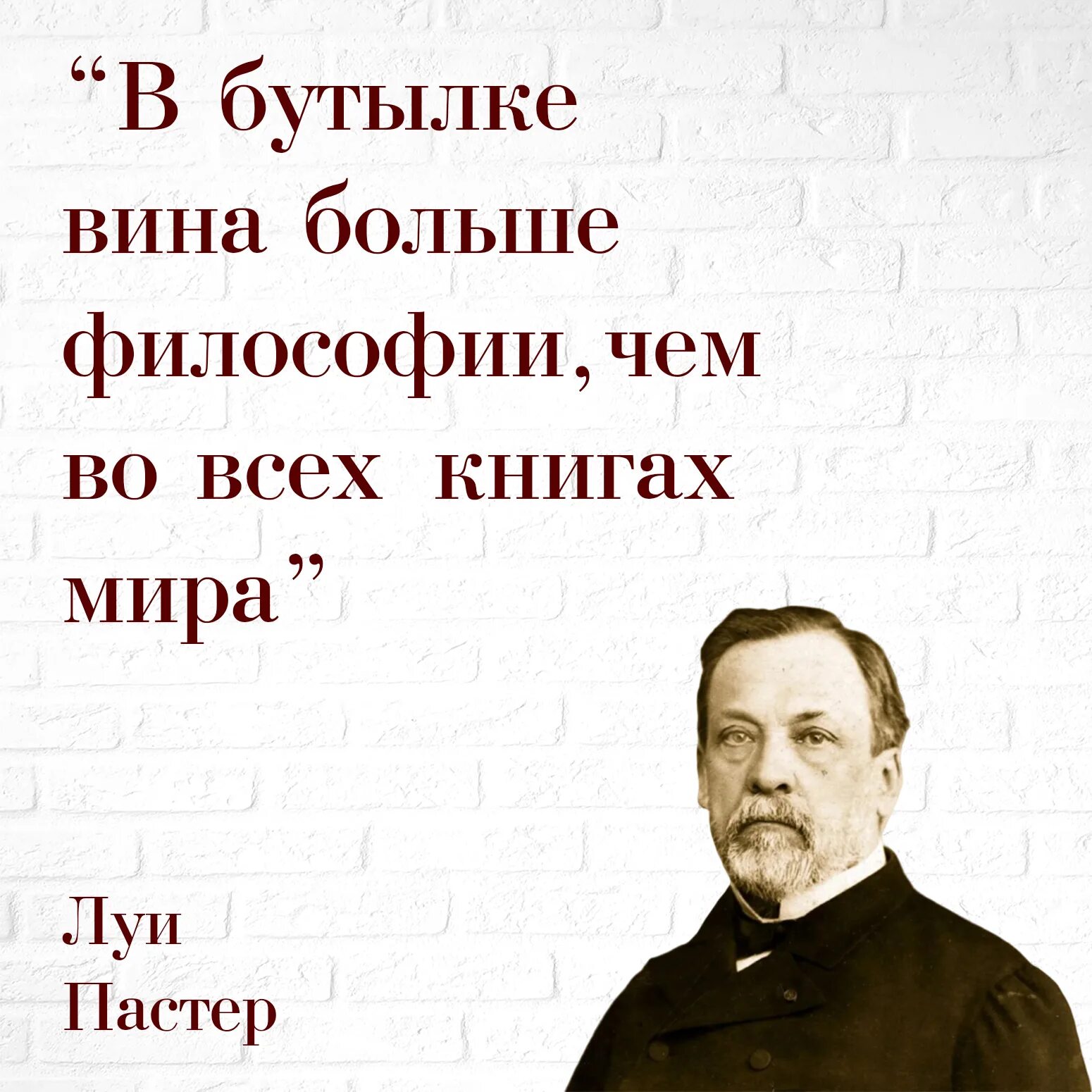 Афоризмы про вино. Выражение виноват. Не ищи виновных цитаты. Выражение виноват. Прикольные картинки про политику для поднятия настроения.