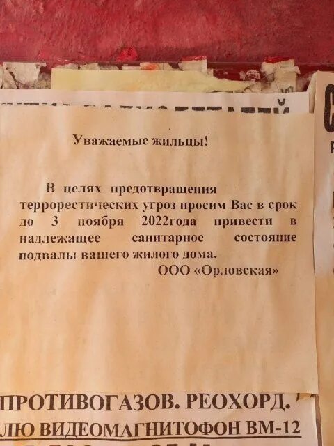 Ооо ук орлов. Объявлениетчистить подвал дома-. Хрущевка подвал бомбоубежище. Объявление выйти чистить подвал дома-.