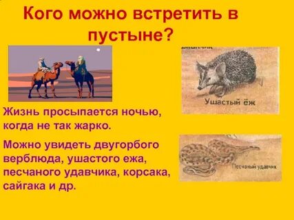 Пустыни презентация 4 класс плешаков