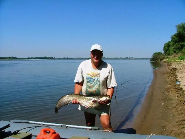 Астраханской области енотаевский район село енотаевский погода