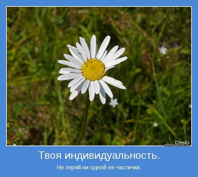высказывания про индивидуальность человека. индивидуальность афоризмы. высказывания о макияже и красоте. высказывания про индивидуальность. фразы про индивидуальность.