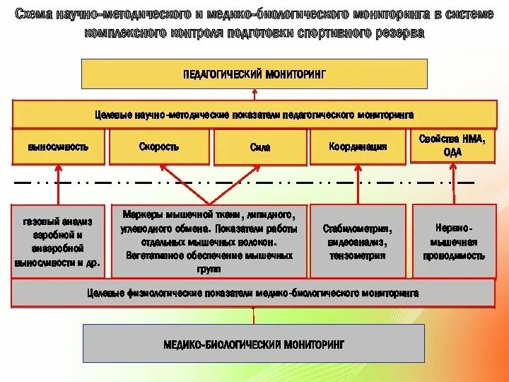 Комплексный контроль в подготовке спортсмена. Схема контроля в подготовке спортсмена. Методы контроля подготовленности спортсменов. Схема тренировочного процесса. Методического обеспечения системы подготовки спортивного резерва.