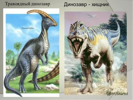 Чем отличаются динозавры