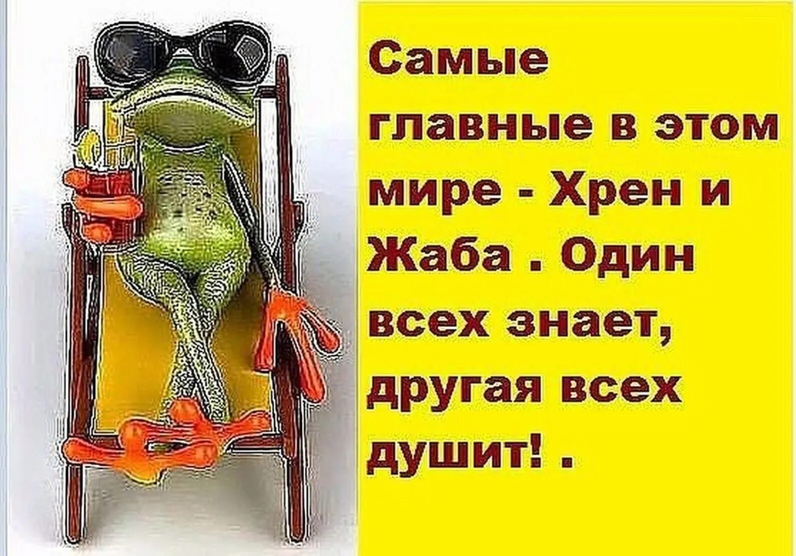 Картинка отпуск закончился завтра на работу. Смешные высказывания про отпуск. с отпуском прикольные. открытки с отпуском. отпуск картинки прикольные.