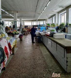Веб камера апатиты