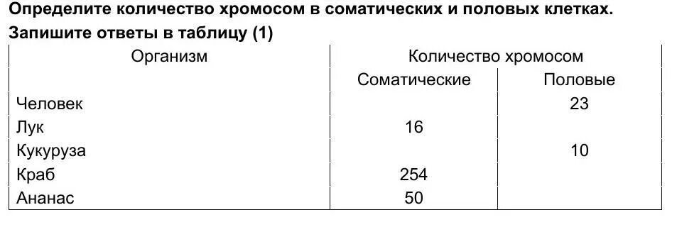 Сколько хромосом имеет половая клетка. Число хромосом в соматических и половых клетках. Сколько соматических хромосом у человека. Кол во хромосом в соматической клетке. Количество хромосом в соматических клетках человека.