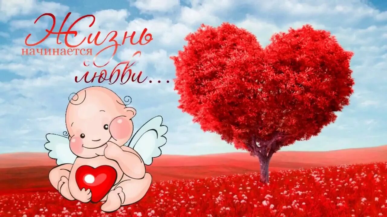 С днем святого валеньтин. С днем влюбленных здоровья. С дем влюблённых. Открытки на 14 февраля. С днем влюбленных здоровья.