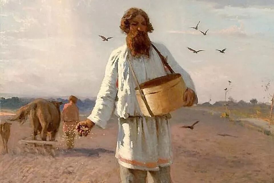 Засеяли 24 процента поля осталось засеять. Короткие рассказы из жизни. Засеял сплошь. Семена для посадки. Веять спряжение.