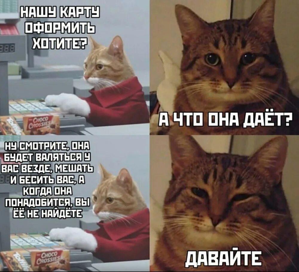 Диалог кота