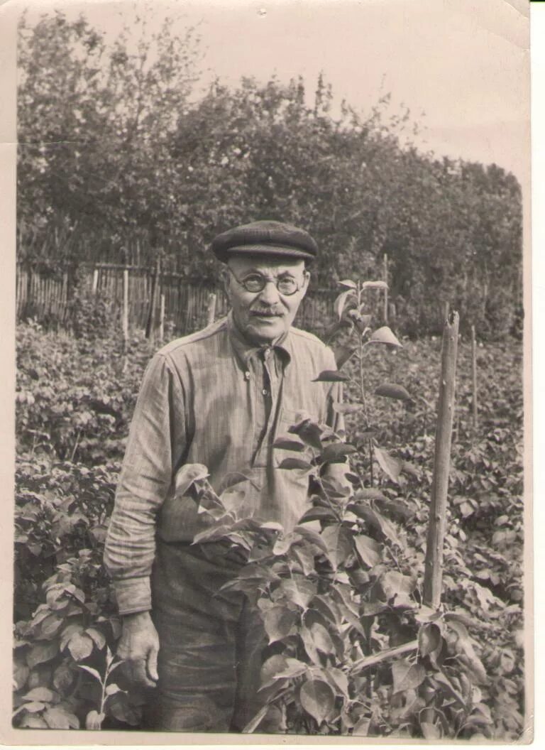 Горнерод. Мальцев борис васильевич тюрьма. Род горн. Горнерод. Род горн.