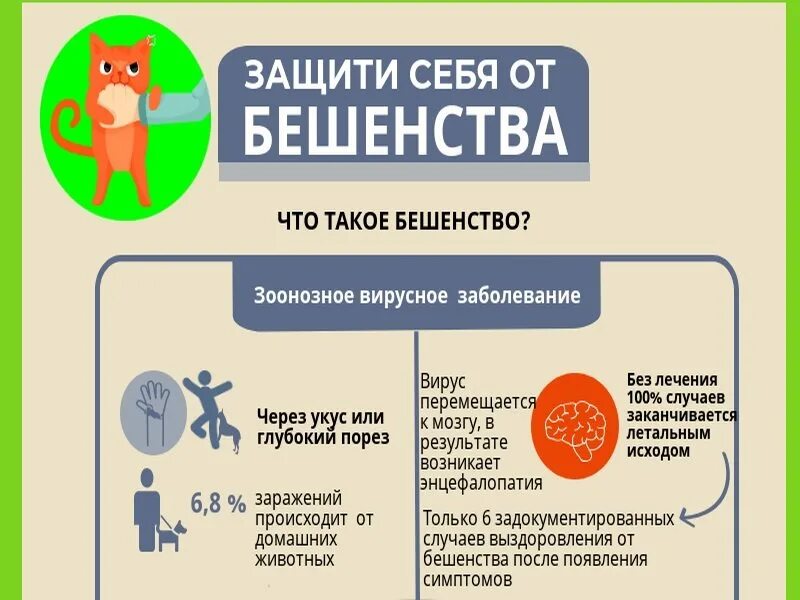 Бешенство без укуса. Всемирный день борьбы с бешенством. Бешенство инфографика. Всемирный день борьбы против бешенства. 28 Сентября день борьбы с бешенством.