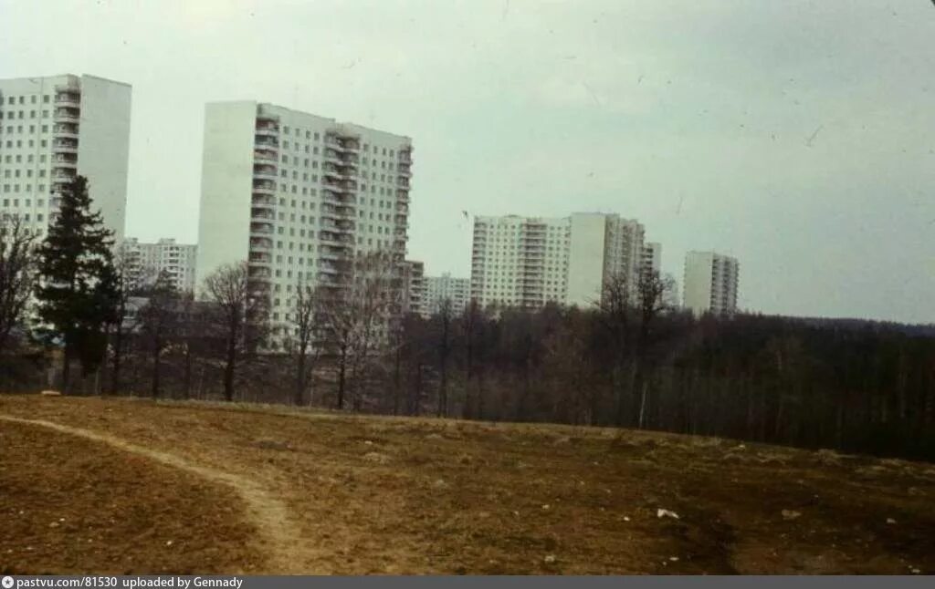 Район Ясенево СССР. Ясенево 1990. Ясенево 1988. Ясенево 1985 год. Ясенево платные услуги