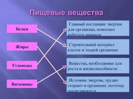 Белок строительный материал для клеток