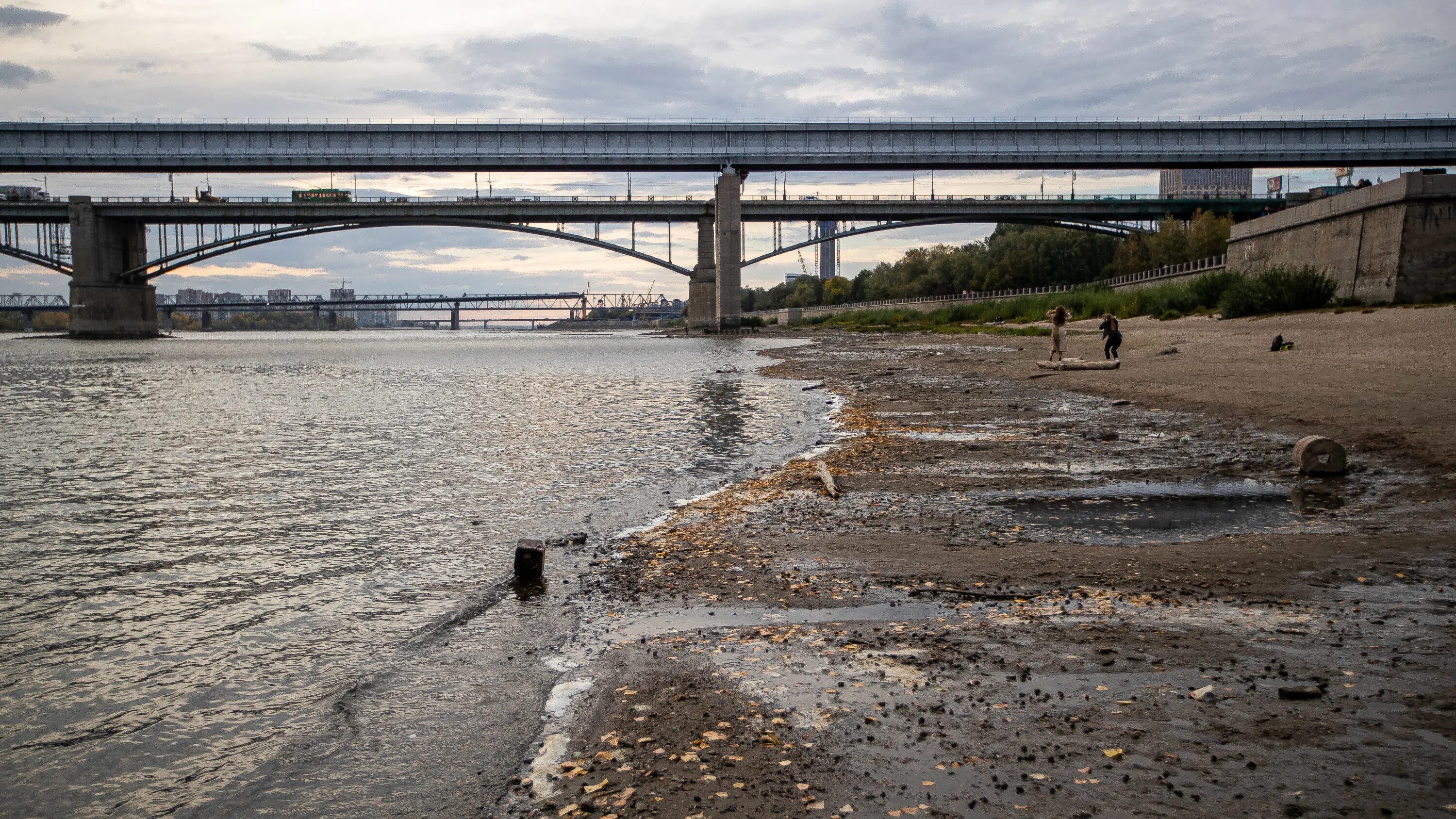 Обь уровень воды. Новосибирск река. Река Обь Новосибирск. Обь обмелела. Волга обмелела.