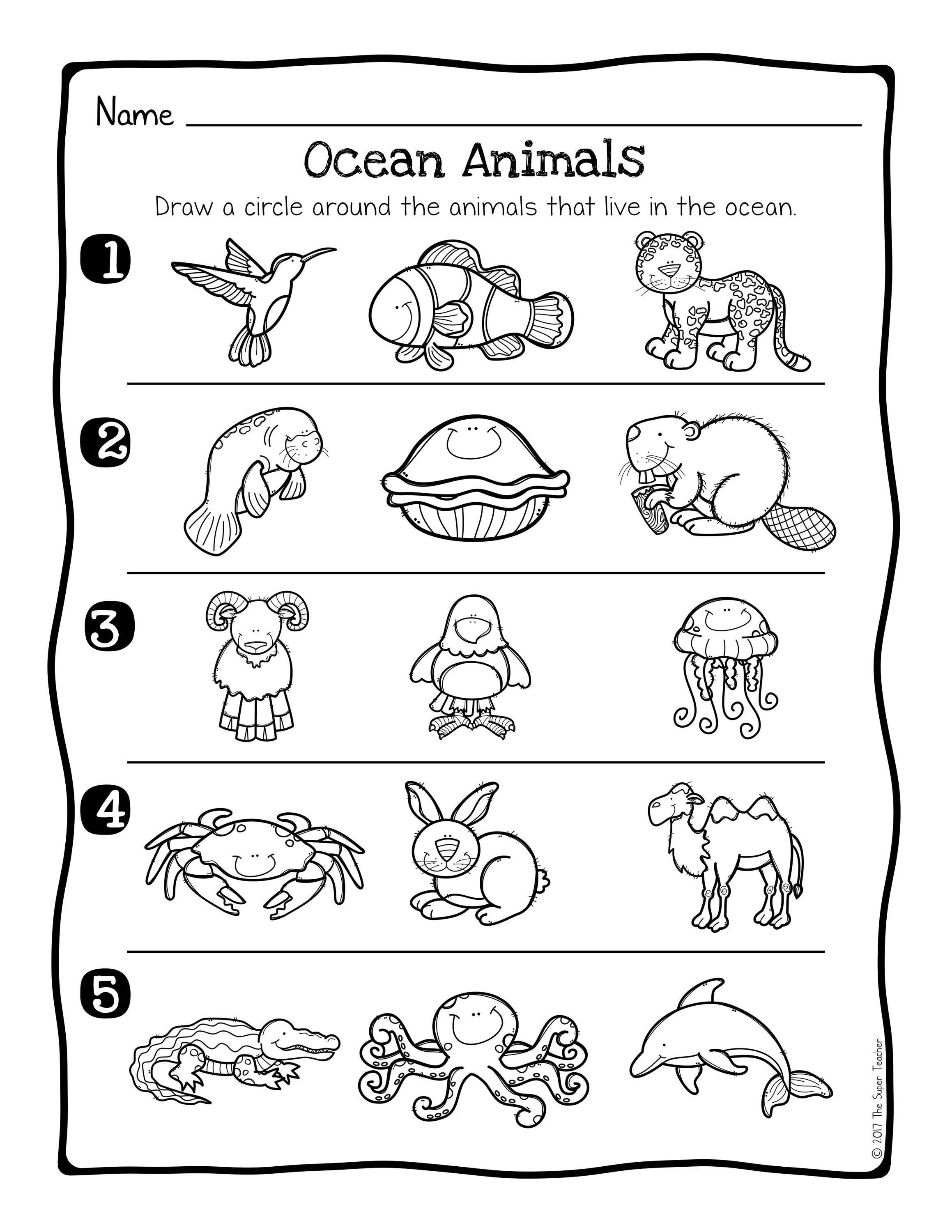 Sea animals задания. Animals Worksheets. Sea animals для детей. Animals раскраска Worksheets for Kids.