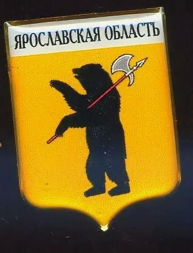 Как выглядит флаг ярославской области В Ярославской области спасли медведя, который провалился в колодец ЯПлакалъ