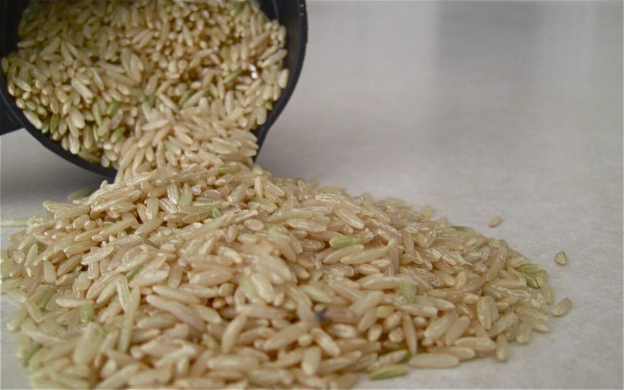 Рис и бурый рис разница. Рис бурый нешлифованный. Белый рис и бурый рис. Чем полезен нешлифованный рис. Диетический рис бурый.
