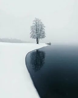 Минималистичная природа