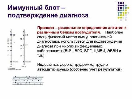 Метод иммунного блоттинга