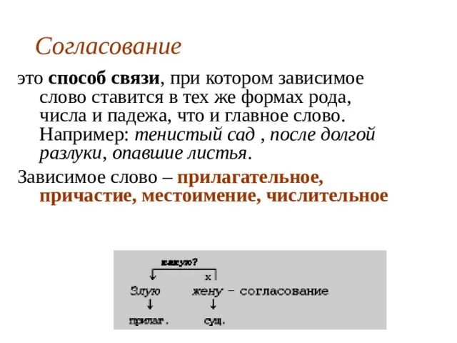 Согласование главные слова. Главное и Зависимое слово в словосочетании. Согласование. Согласование главное и Зависимое слово. Согласование зависимые слова.