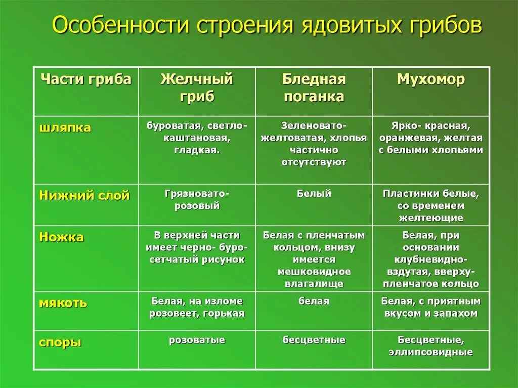 Заполнить таблицу грибы