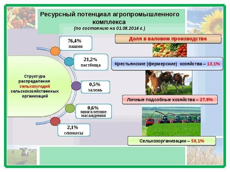 Обобщение по теме агропромышленный комплекс. Структура агропромышленного комплекса. ресурсный потенциал апк россии это. структура агропромышленного комплекса россии. агропромышленный комплекс презентация.