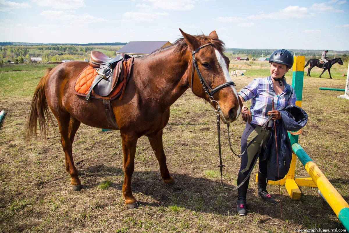 Конный клуб прованс москва. Конюшня в д. Конно спортивный комплекс караван инино. Конюшня максима стейблс. Кск премиум воробьи.