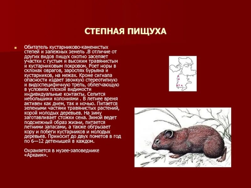 Красная книга челябинской области проект 4 класс