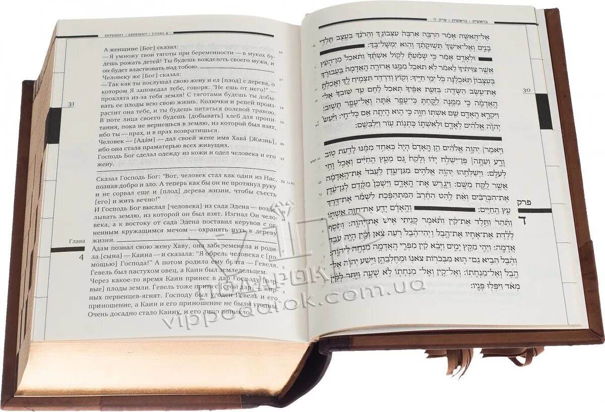 тора с гафтарот. тора с гафтарот. тора 5 книг. книга тора фотографии. тора на иврите в книге.