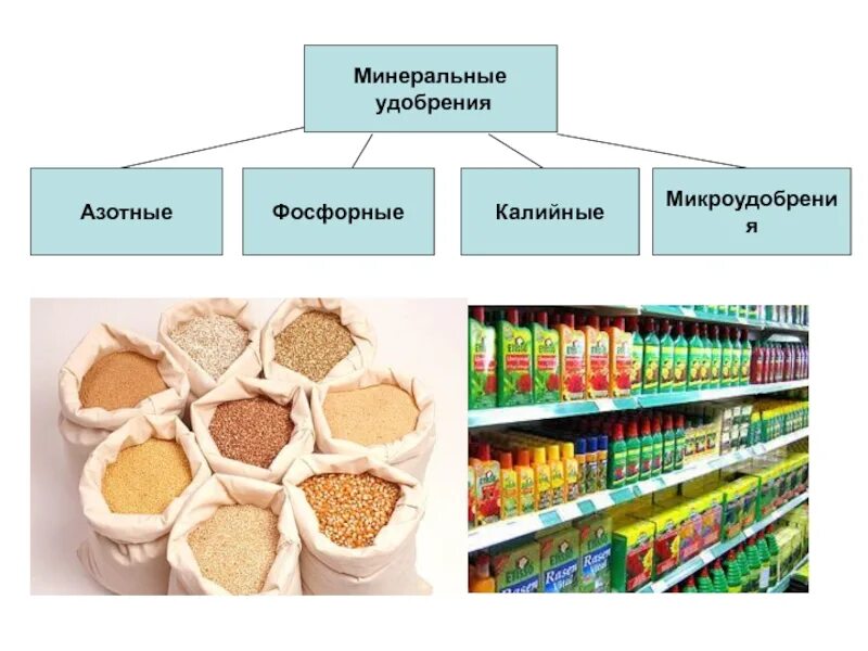 Минеральные микроудобрения. Минеральные удобрения азотные фосфорные калийные. Минеральные удобрения азотные фосфорные калийные таблица. Минеральные удобрения презентация. Удобрения азотные микроудобрения и.