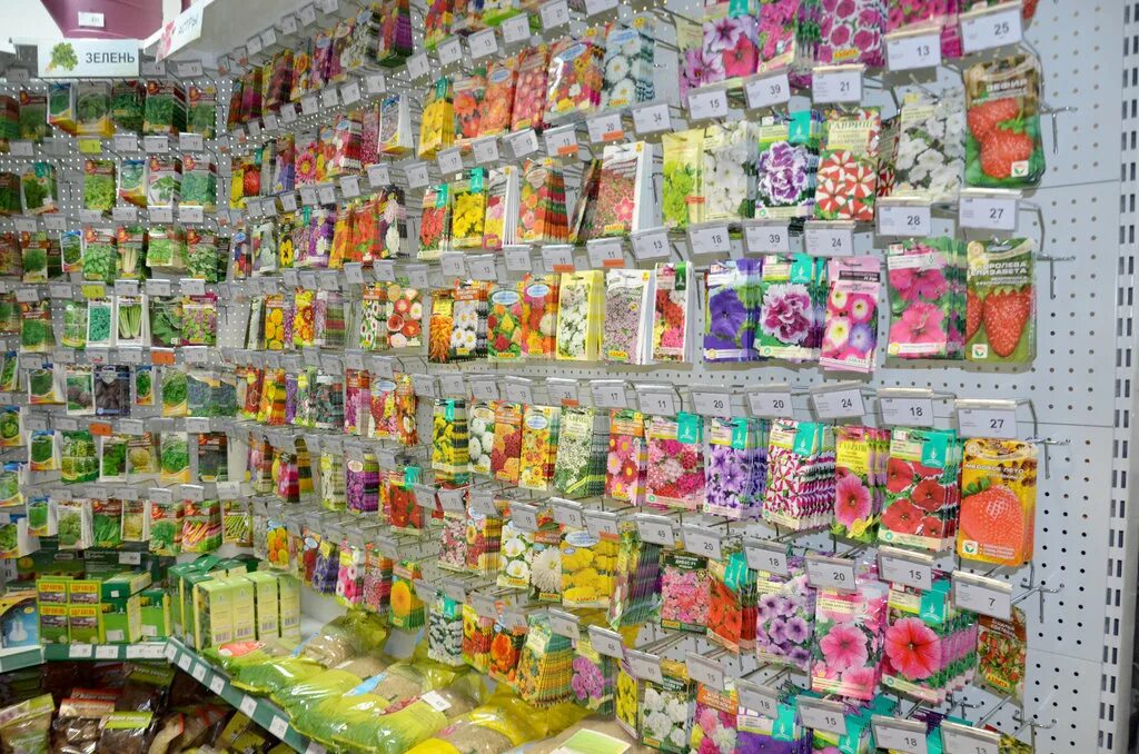 Цветы в торговых центрах. Магазин зеленый дом пенза. Глобус магазин цветов в грин хаусе. , 125. Аустрина 139.