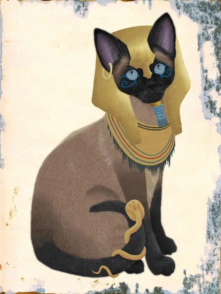 Pin on Egyptian cat breeds