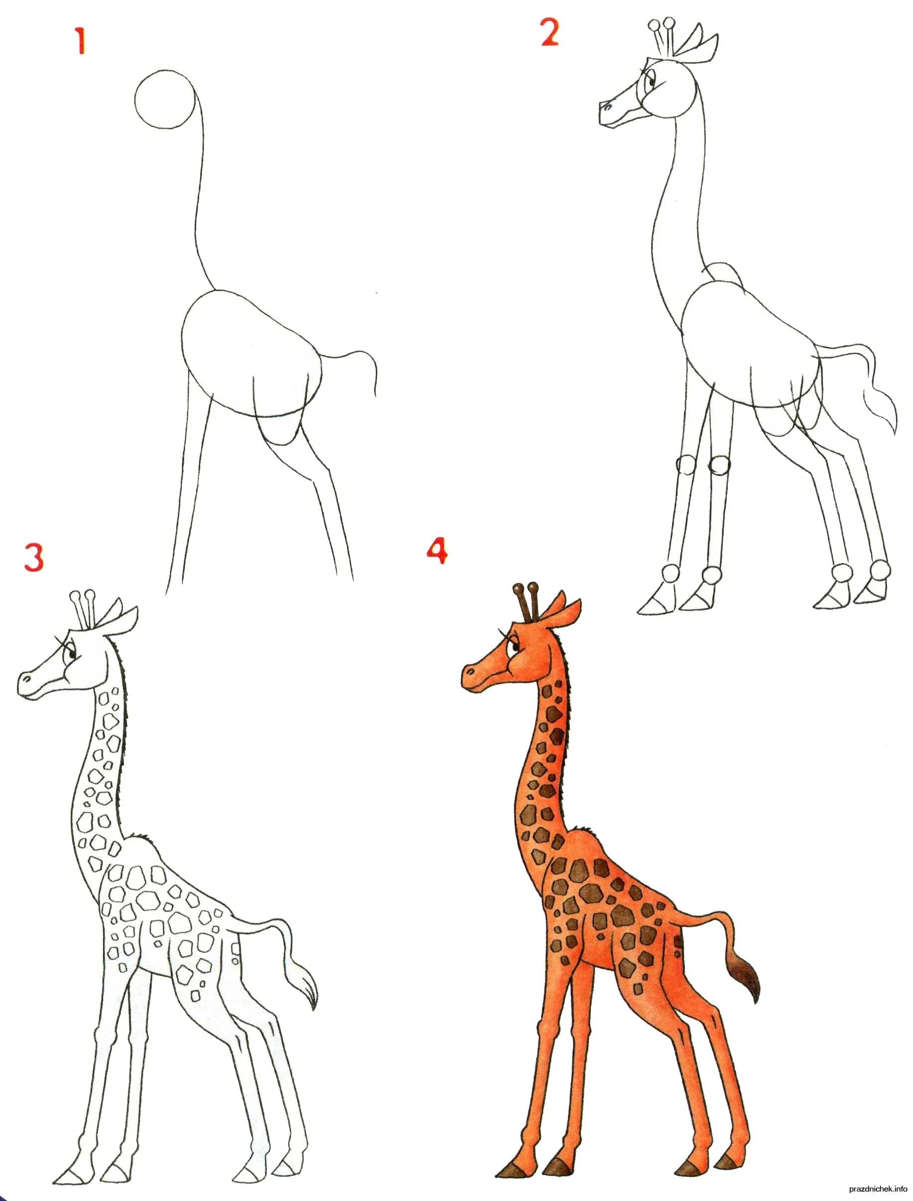 Как рисовать жирафа