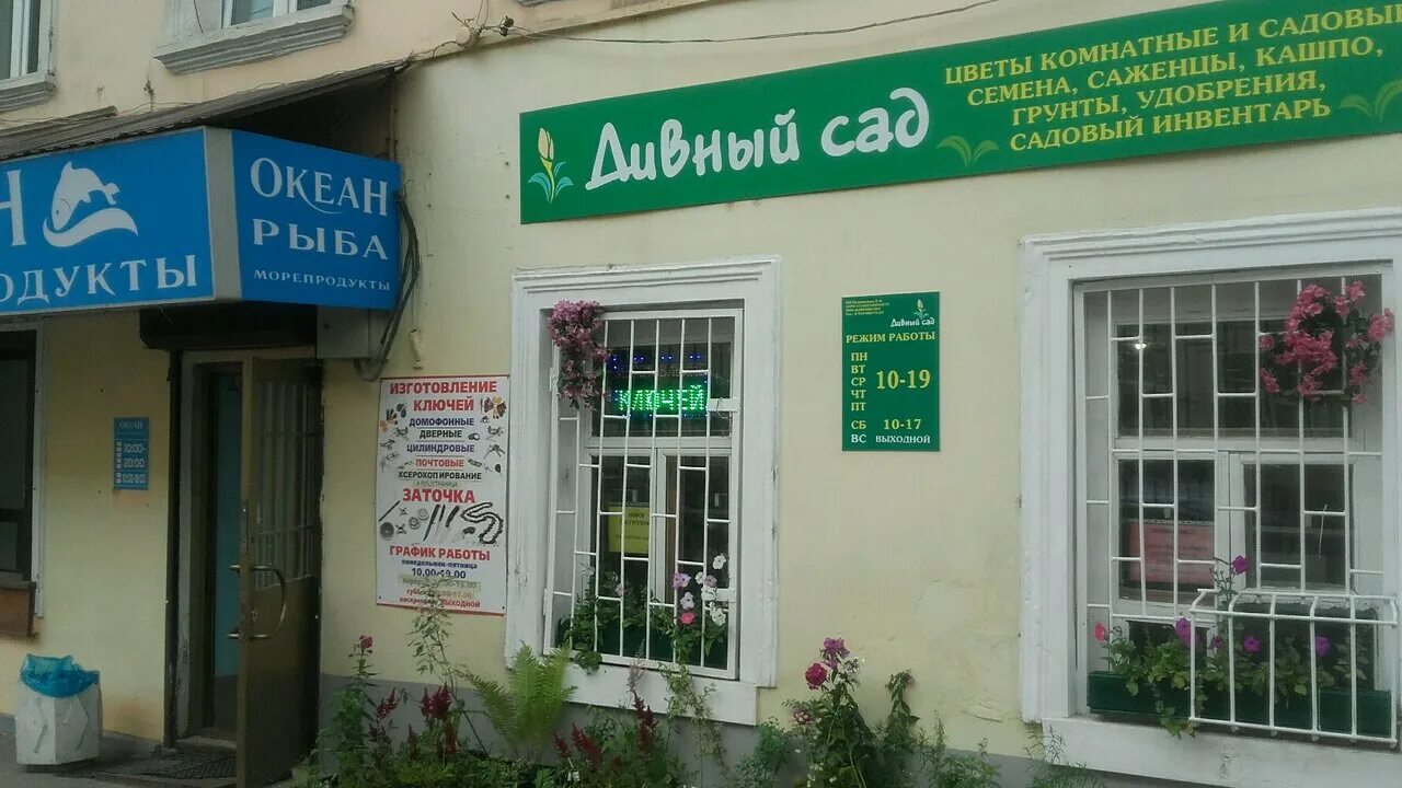 Дивный сад логотип. Дивный сад академия ремонта. Игра дивный сад академия ремонта. Прокатова 10 вологда. Дивный сад 1 игра.