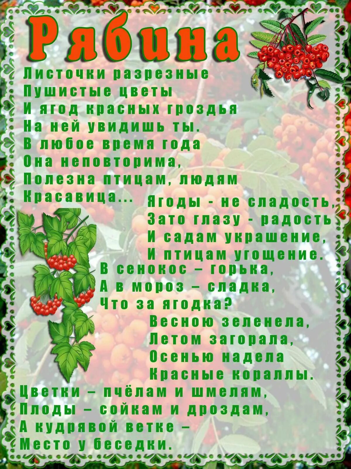 Загадки про ягоды для детей 5-6. Загадки про ягоды. Стихи про ягоды для детей. Загадки про ягоды для детей. Песня про ягодку