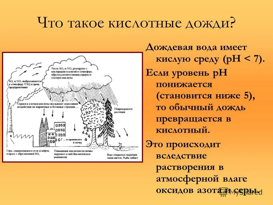 Кислотные осадки причины и последствия. Кислотные дожди клипарт. Кислотные осадки ph. Нейтральный ph. Кислотные осадки названия.