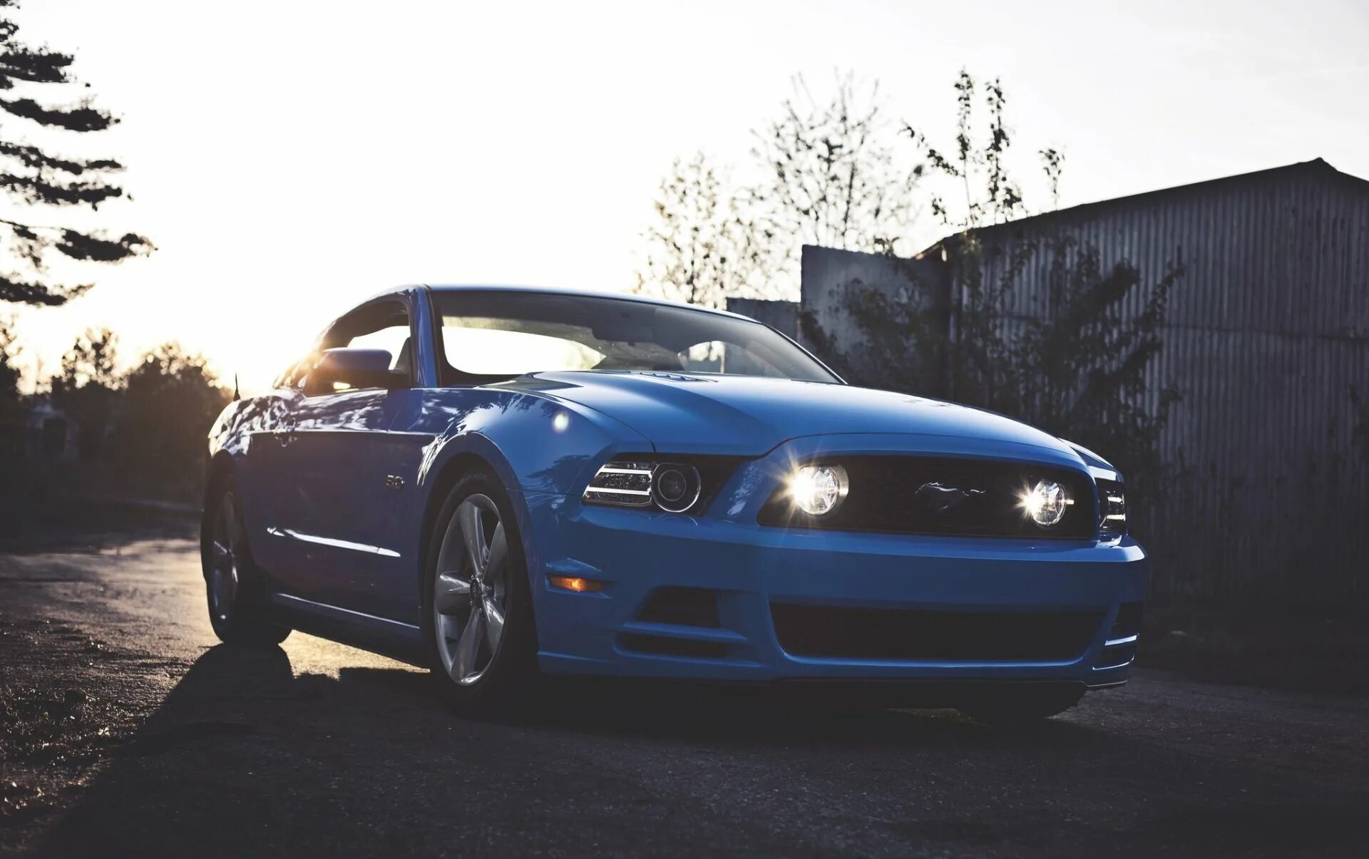 Форд Мустанг 5.0. Ford Mustang 5 Blue. Ford Mustang gt 5.0 2005. Ford Mustang gt 5.0. Стол мустанг