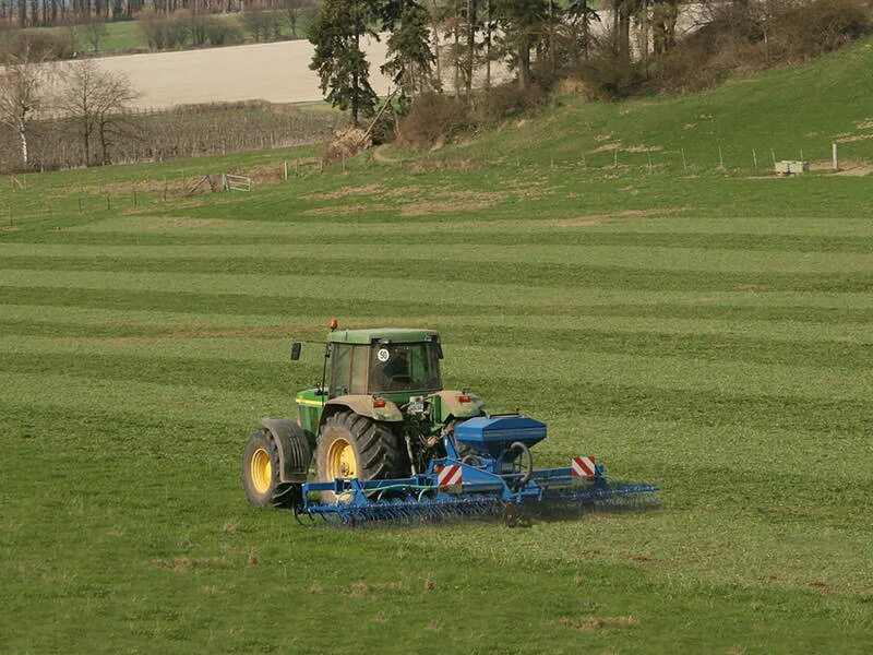 симментальская порода коров. текущий уход за пастбищами. поверхностное улучшение сенокосов. уход за пастбищами. обработка сельскохозяйственных полей.