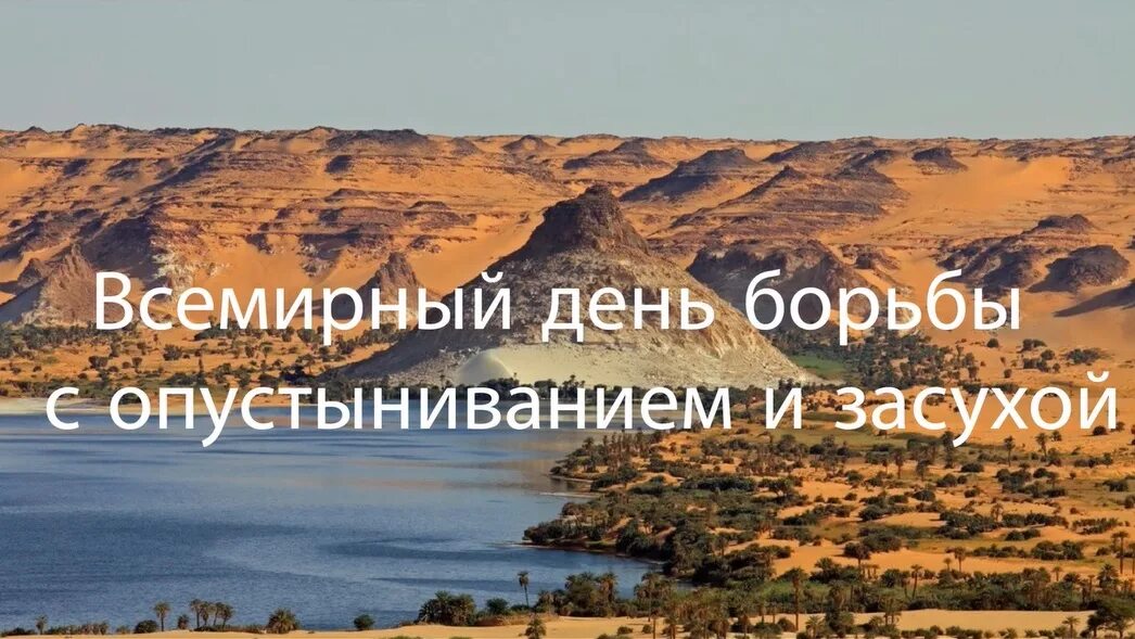 День борьбы с опустованием и засухой. День борьбы с опустыниванием и засухой. 17 июня день борьбы с опустыниванием. Всемирный день с опустыниванием и засухой. Опустынивание земель плакаты.